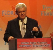 Former U.S. House Speaker Newt Gingrich