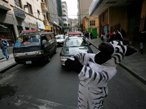 traffic zebras